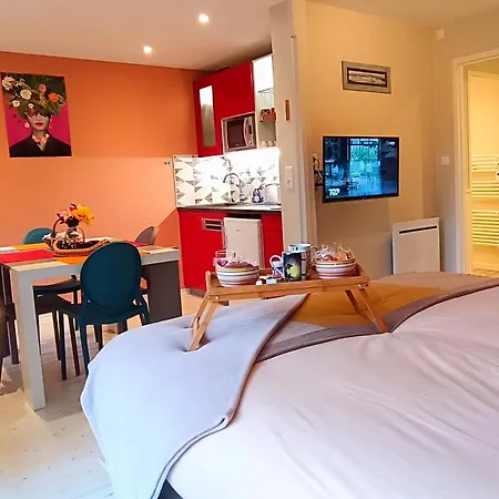 Proche - Parking Gratuit Et Prive - Terrasse Et Petit Jardin Cloture *